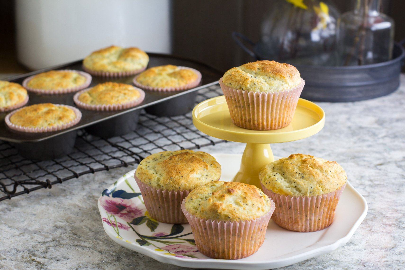 Lemon Poppy Low FODMAP Muffins