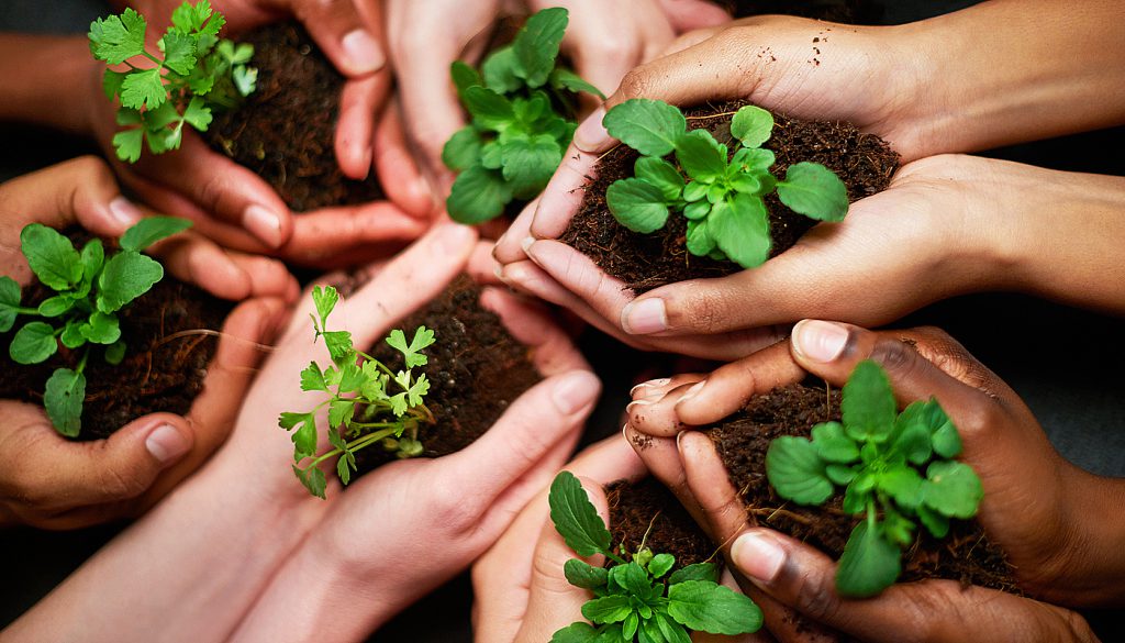 Hands with soil and plants for Earth Day
